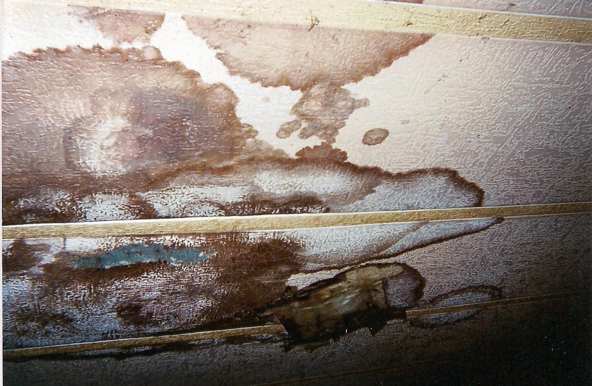 Surprisingly Clean Before Picture